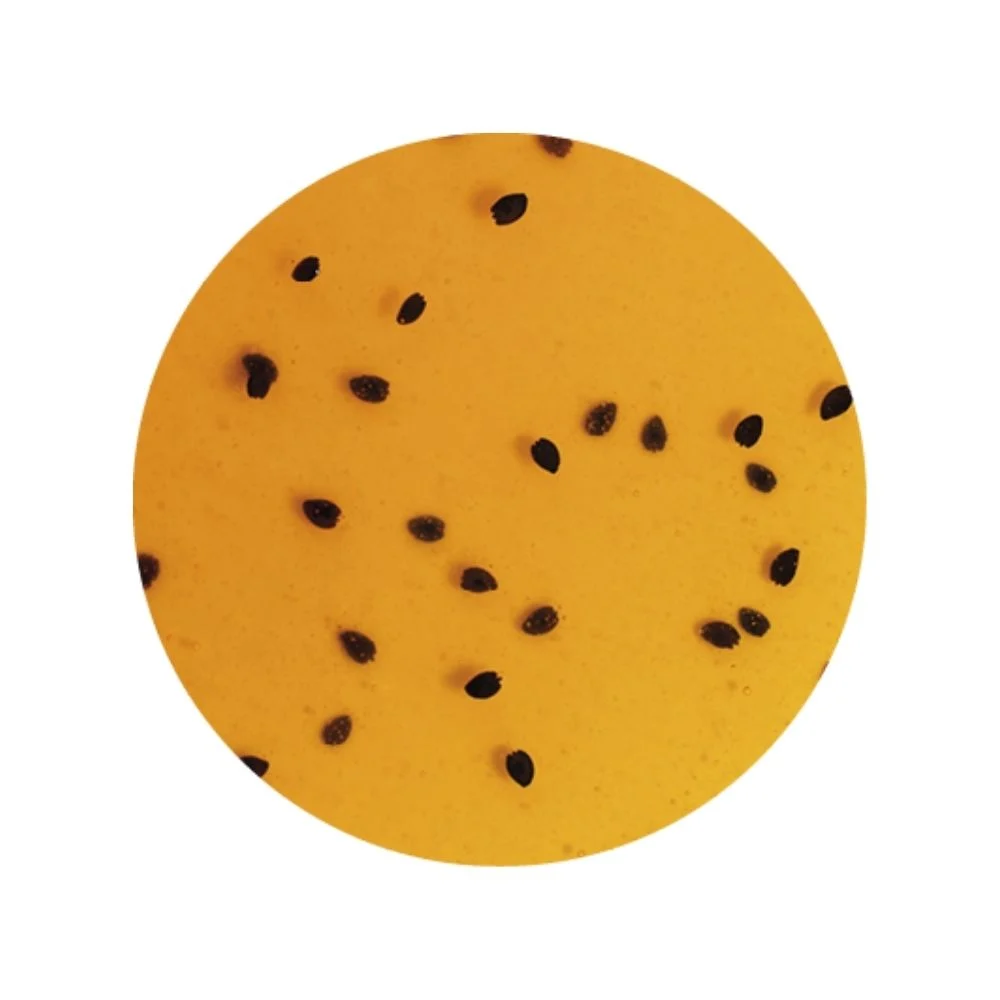 Passion Fruit Sundae Dessert Topping - 3 KG Bucket - Passion Fruit Variegate - Rubicone Canada