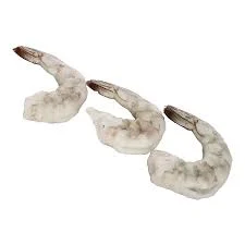 Shrimp - 13/15
