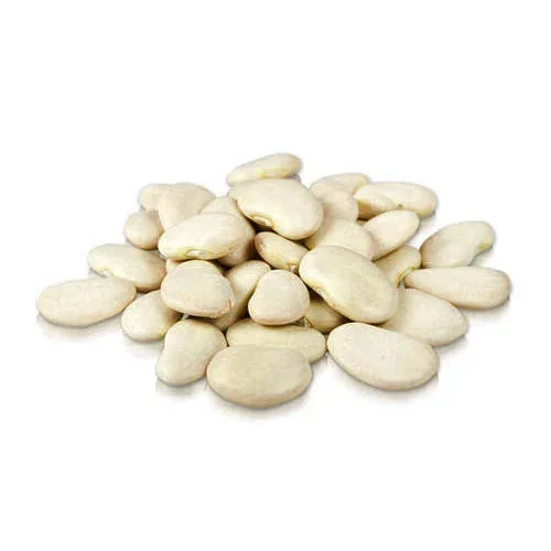 Wagh Bakri - Premium Masala Tea - PET - 450g